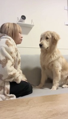 向き合って座るゴールデンレトリバーと女性