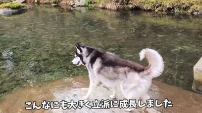 すっかり精悍な顔つきに！