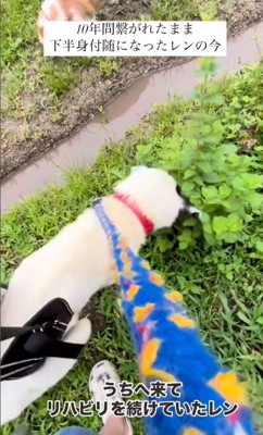 リハビリを開始!