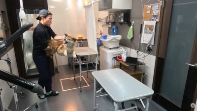 さっそく噛みつかれそうに!