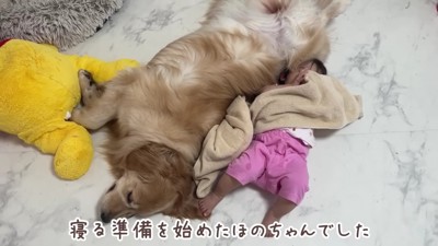 微笑ましい光景にホッコリ