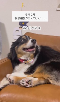 愛を育んできたレアちゃんと男の子