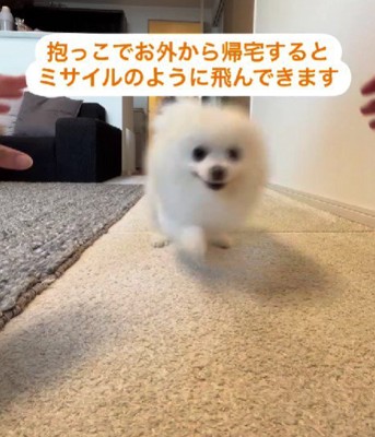 嬉しそうな笑顔にほっこり