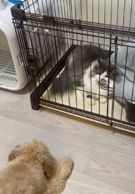 「これでおあいこ」