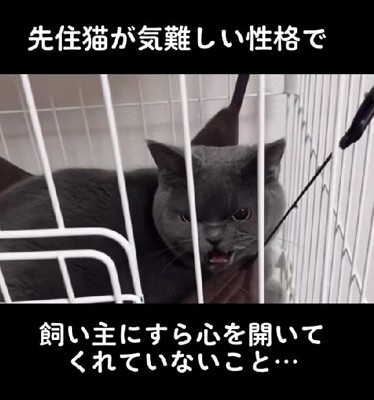 気難しい性格のよだれちゃん