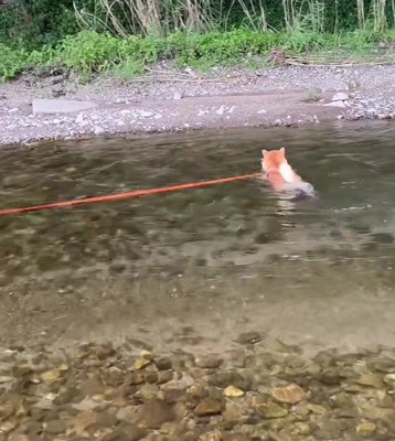 「流される～」