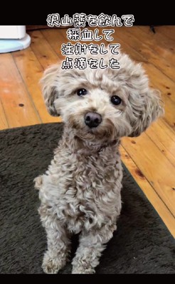 治療を頑張ったら…