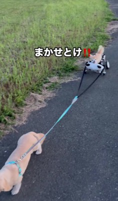 気遣い上手な凛ちゃん