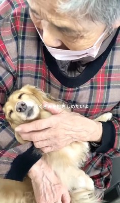 祖母に撫でられる小型犬