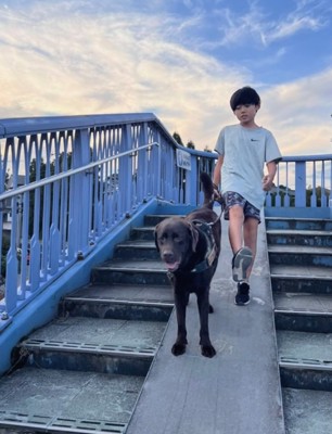 歩道橋を一緒に降りている子どもと犬