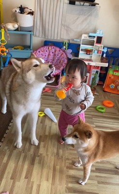 ロッキーくんと赤ちゃんの音楽会4