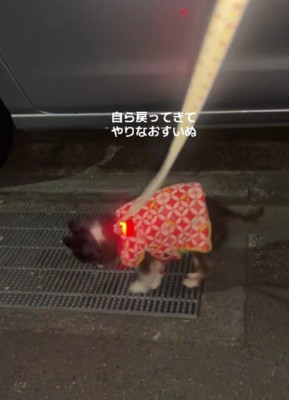 やっぱり正々堂々と戦いたい！！