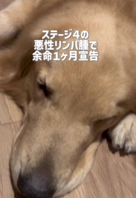 癌を患っていることが判明