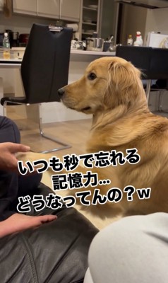 重めのお手