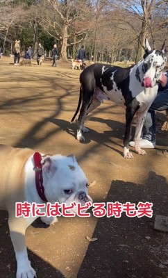 ひるむときも…(笑)