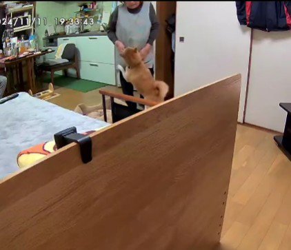 おばあちゃんのことが大好き