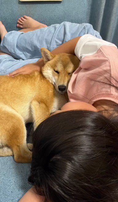 お世話をするように…