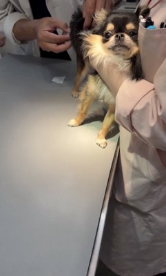 大きくなったね