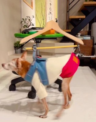 転ばずに歩ける♪