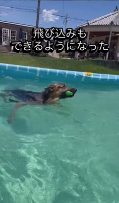 プールで特訓するエースくん9