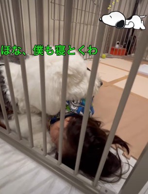 「ここは僕が守るよ」