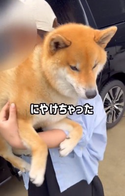 ママの抱っこでにやけるぽてとくん