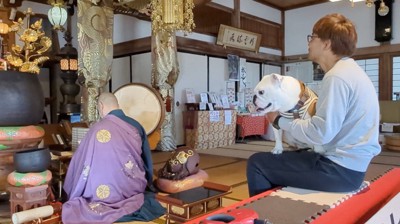 住職の後ろに座るパパと妹犬