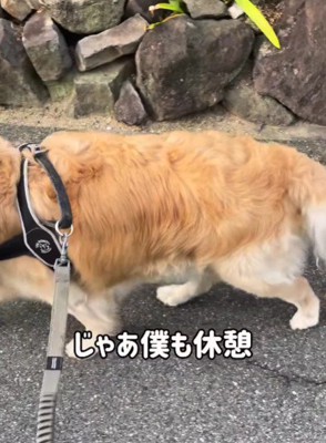 「僕も一緒に休もうかな」