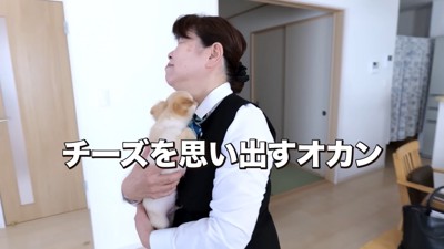 亡き愛犬を思い出して葛藤
