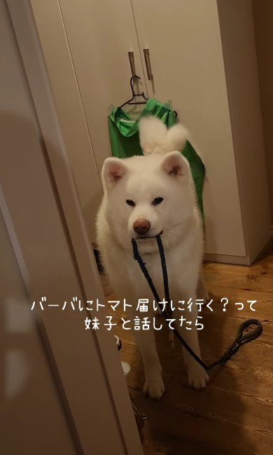 ママと娘が話していたら…