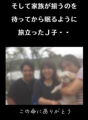 18年間の思い出にありがとう