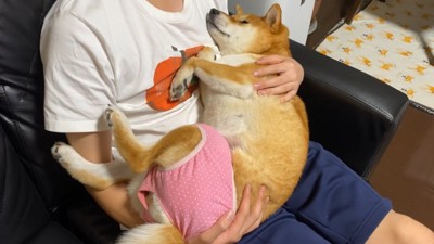 まるで赤ちゃんのよう♡