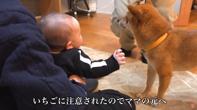 「赤ちゃんを連れて行かないで」