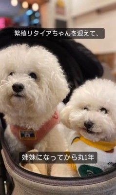 まめちゃん&まるちゃん