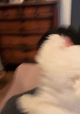 不意打ちの第二波！！