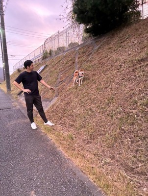 車を怖がるいそべ君