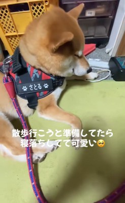 寝落ちする悟くん3