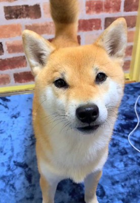 雨の日にお散歩へ