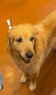 初めてカッパを着たライトくん2