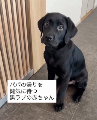 「パパは?」