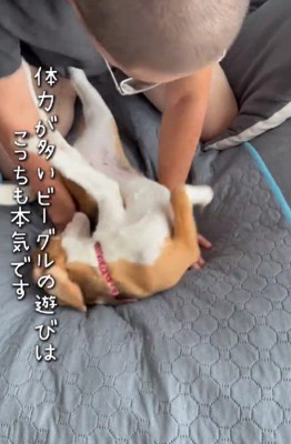 遊び方が上手な投稿主さんでした