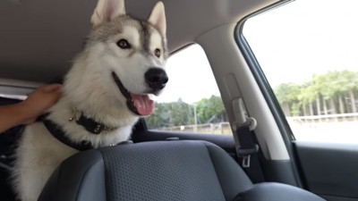 ;ワクワクのフィンくん