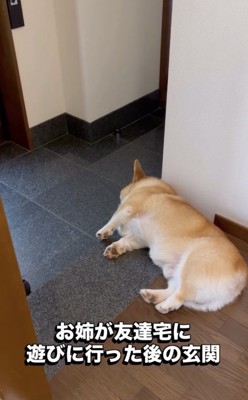 「行ってしまった…」