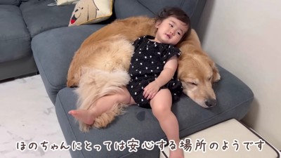 おからちゃんを枕にゴロン