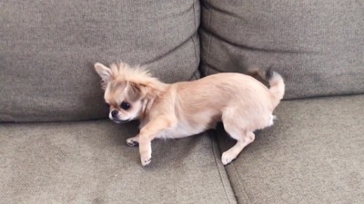 もしかしたら骨折…？