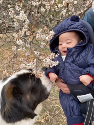 カイザーくんとの思い出3