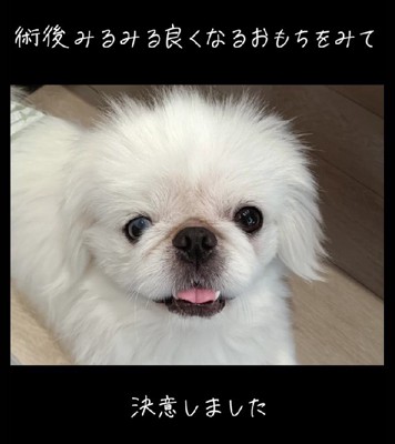 眼球の手術を決意