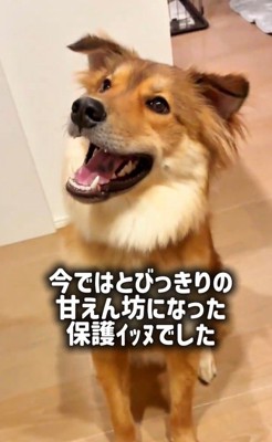 ラッキーくんの変化⑩