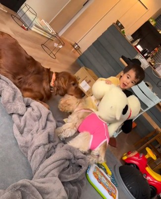 遊ぶワンコたちと男の子3