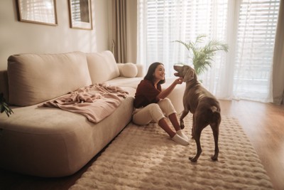 部屋で触れ合う女性と犬